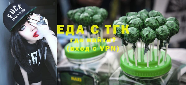 индика Алексин