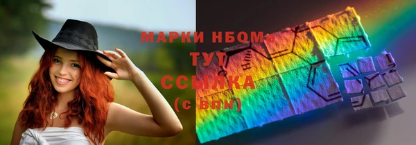 индика Алексин