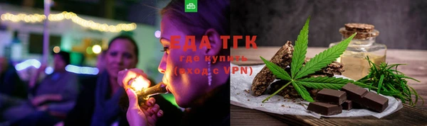 индика Алексин