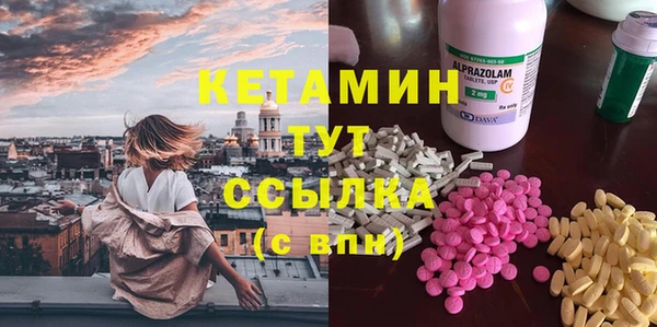 индика Алексин