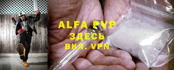 индика Алексин