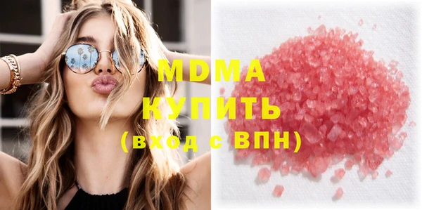 индика Алексин
